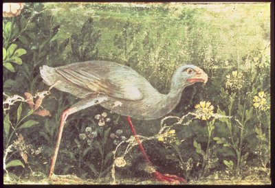 Nástěnná malba sultánského kuřete v zahradě, Pompeje, 1. století našeho letopočtu od Unknown