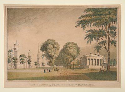 Yale College and State House, New Haven, Con. od Unknown