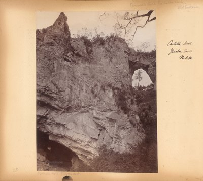, z alba New South Wales od Unknown