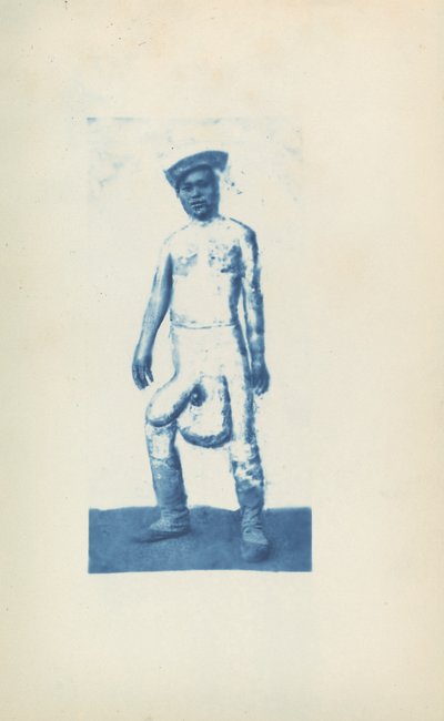 Elefantiáza od Unknown 19th Century