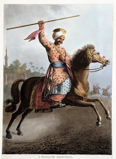 Mamluk na koni - v „Pohledech v Egyptě, Palestině a dalších částech Osmanské říše“““ od Unknown artist
