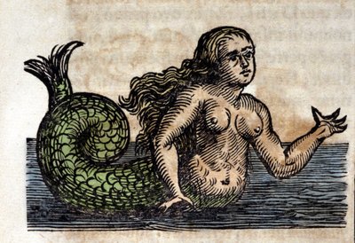 Sirene, Legendary Person - Rytina z díla Athanasia Kirchera (1601 - 1680), jezuity, orientalisty a germanisty od Unknown artist