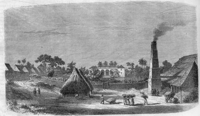 Továrna na cukrovinky na ostrově Kuba v roce 1869. od Unknown artist
