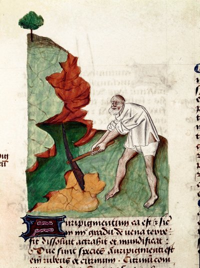 Stránka hledače zlata z rukopisu ""Léky na bylinkách" (Tractatus de herbs) od Pedanius Dioscorides (Dioscorides) (40-90 n. l.) Lat.1152 od Unknown artist