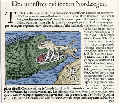 Mořské monstrum bije plavce poblíž pobřeží Norska. Rytina Olause Magnuse (1490 - 1557), švédského náboženského a geografa, „Historia de Gentis Septentrionalibus“, Benátky od Unknown artist