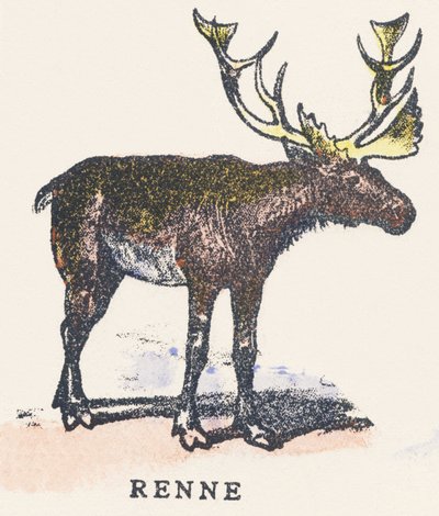 A: sobů od Unknown artist