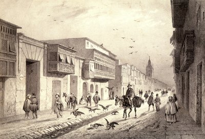 Ulice ve Valladolidu v Limě, Peru. od Unknown artist
