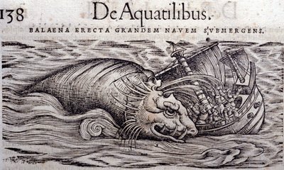 Velryba zničí trup lodi a způsobí její potopení. Rytina n Historia Animalium od Conrada Gesnera (1516 - 1565), Tiguri od Unknown artist