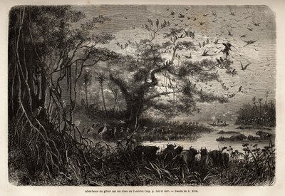 Hojnost zvěře na březích Zambese. Rytina pro ilustraci prvních plaveb Dr. Livingstonea do jižní Afriky v letech 1840 až 1856 v „Le tour du monde, nouveau journal des voyages““ vydaném pod vedením Edouarda Chartona od Unknown artist
