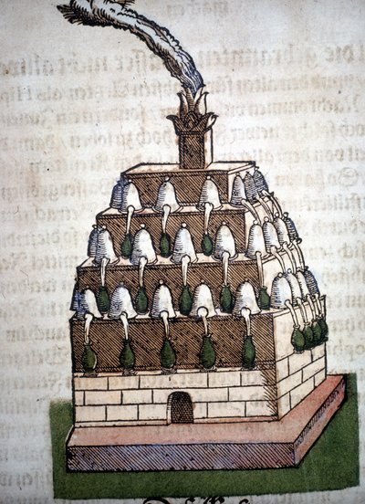 Alchymie: Athanorská čtyřka z knihy Pietra Andrea Mattioliho (Matthiole) (1500-1577). Frankfurt od Unknown artist