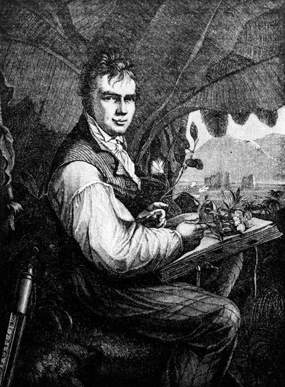 Alexander von Humboldt (Alexander de Humboldt od Unknown artist