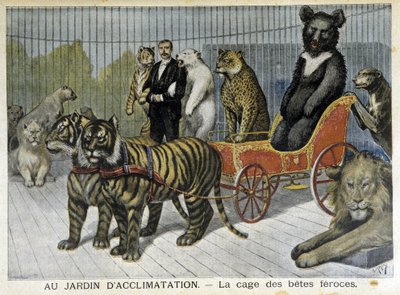 V zahradě aklimatizace: klec divokých zvířat - v „“Le Petite Journal““ z 2.6.1895 od Unknown artist