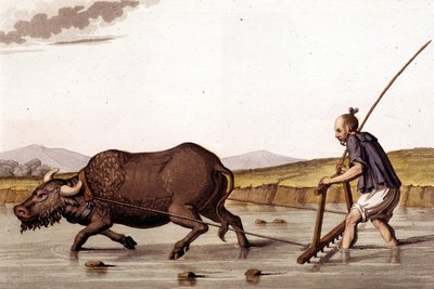 Pryč od truchlení rýžových polí s volem - ve starověkém a moderním kostýmu od J. Ferrario, ed. Milano od Unknown artist