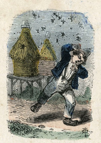 Včely napadají dítě poblíž jejich úlu. Ilustrace 19. století. Kolekce Bianchetti od Unknown artist