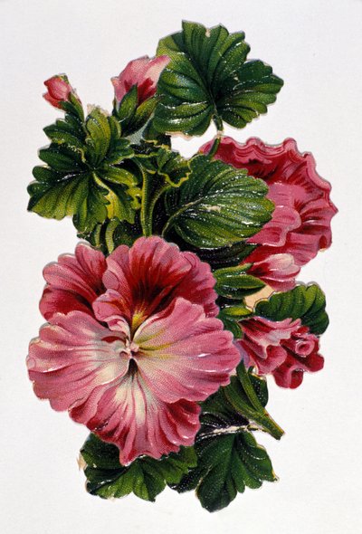 Kytice květin. Chromolitografie 19. století. od Unknown artist