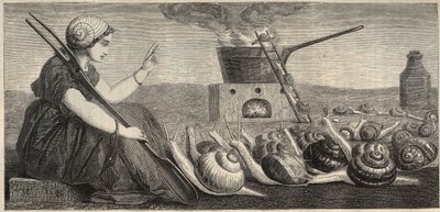Burgundský šnek - rytina 19. století od Unknown artist