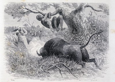 Kapitán Speke loví buvoly – v „“Tour du Monde““ od Unknown artist