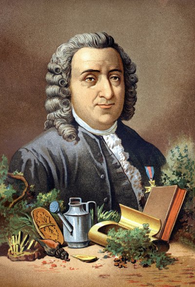 Carl Von Linné švédský přírodovědec a spisovatel (1707 - 1778) podle knihy „Věda a její muži“ od Louise Figuiera. Barcelona 1881 od Unknown artist