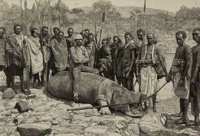 Odchyt hrocha z řeky Jubba, Afrika, rytina z L