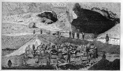 Stříbrný důl Cerro de Pasco v Peru: doprava rudy na zadní straně Mulet. Gravírování do ""La Nature"" od Unknown artist