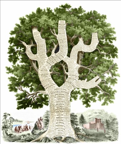 Chronologický graf amerických dějin věnovaný obyvatelům Spojených států vydavatelem. Rytina v. 1881. od Unknown artist
