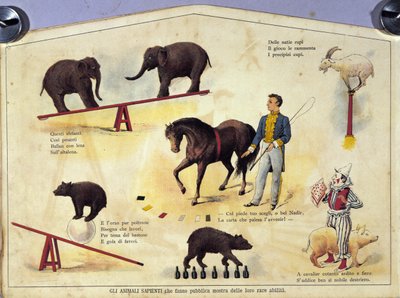 Cirkus: deska představující různé typy představení učených zvířat se slony, kozou, medvědem, koňmi a prasetem. Ilustrace 19. století od Unknown artist