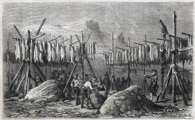 Sušení tresky ve Fiskerness v Grónsku - Sušení tresky ve Fiskerness v Grónsku Rytina z „“The Illustrous Universe““ 1866 od Unknown artist