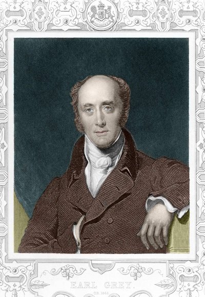 Hrabě Henry George Gray (1812 - 1898) v roce 1845. od Unknown artist