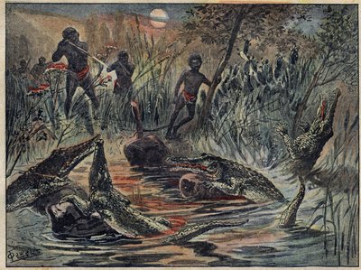 Krokodýl loví v Nigeru s dítětem na návnadu. Ilustrace v „“Le Pelerin“ ze 4. prosince od Unknown artist