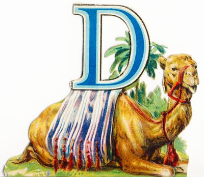 D: Dromedář od Unknown artist
