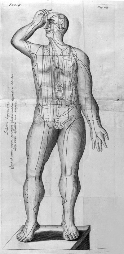 De Acupunctura od W. Ten Rhijna. Londýn 1683. První západní text zabývající se akupunkturou. od Unknown artist