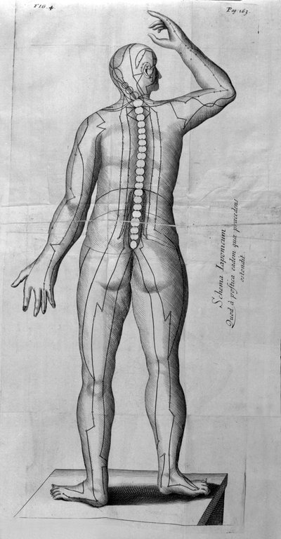 De Acupunctura od W. Ten Rhijna. Londýn 1683. První západní text zabývající se akupunkturou. od Unknown artist