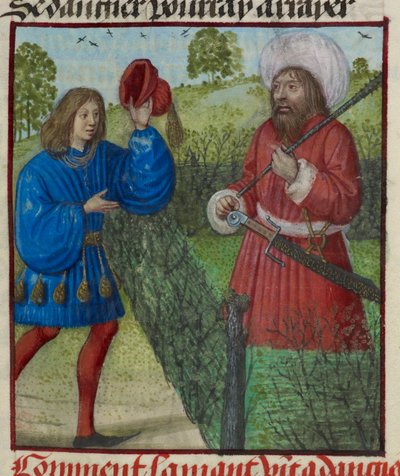 Detail miniatury milence zdravícího nebezpečí, z „Le Roman de la Rose“ od Unknown artist