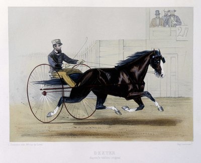 Dexter troteur - v "" Kentaur "" od Unknown artist