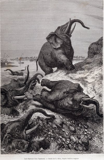 Sloni šplhající na břeh řeky v souvislosti s expedicí do střední Afriky, kterou zadal sir Samuel White Baker, „Tour du monde“ od Unknown artist