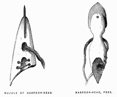 Eskymácké harpuny - Elisha Kent Kane, Artic Exploration v letech 1853-1855, Philadelphia, Childs a Peterson od Unknown artist