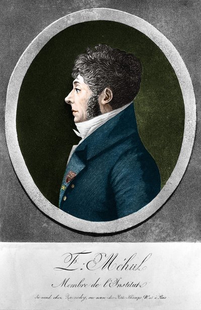 Etienne Mehul , francouzský skladatel a varhaník (1763-1817). od Unknown artist