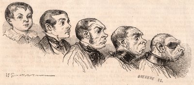 Evoluce dítěte k dospělosti a degenerace dospělého ve zvíře od Unknown