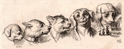 Evoluce psa do lidské podoby od Unknown