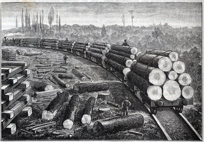 Využití lesů Spojených států. Dočasné dráhy s dřevěnou dráhou. Vozy převážející kmeny stromů. Gravírování do ""La Nature"" od Unknown artist