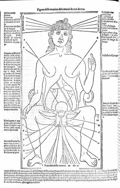 Ženský reprodukční aparát - v Treatise of Medicine od Gerolama Cardana (Cardano) (Cardanus Hieronymus), Florencie 1585. od Unknown artist