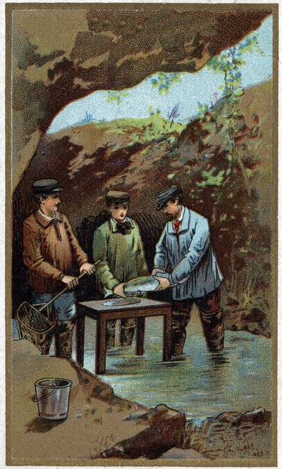 Chov ryb: umělá snůška. Chromolitografie z konce 19. století od Unknown artist
