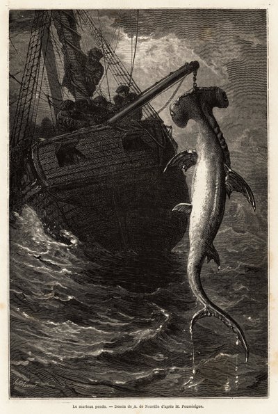 Rybaření kladiva, 7 metrů dlouhého, ve vodách poblíž Anastasia Island. Rytina k ilustraci příběhu čtyři měsíce na Floridě, od Achille Pousselgue v letech 1851-1852, publikovaná v „“Le tour du monde““ 1870-1871, editoval Edouard Charton, Hachette edit od Unknown artist