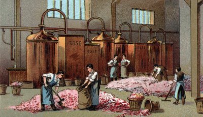 Květinový lihovar na výrobu benzinu a vody Květin. Chromolitografie konce 19. století od Unknown artist