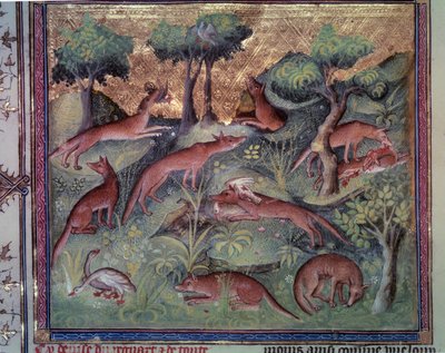Liška na lov drůbeže. Miniatura z rukopisu „“Le livre de la chasse““ (folio 34v) od Gastona Phoebuse (1331-1391) dit Gaston III Comte De Foix od Unknown artist