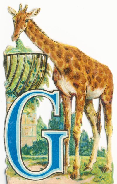 G: Žirafa od Unknown artist