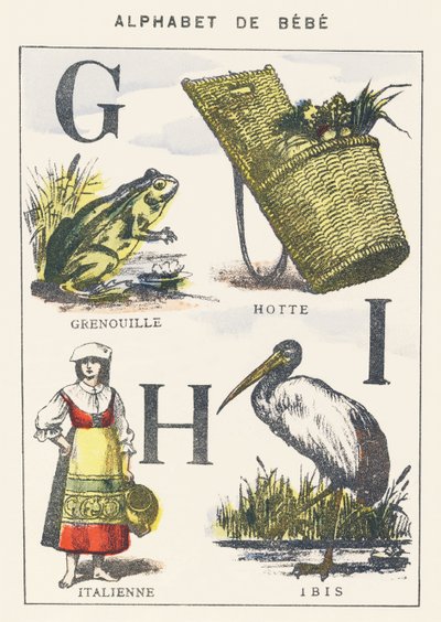 G H I: žába, kapuce, italština, ibis od Unknown artist