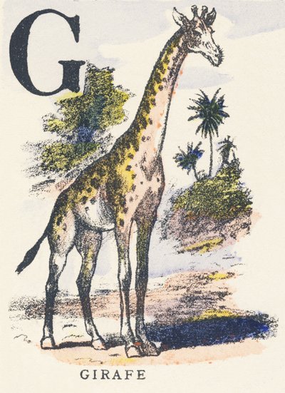 G: žirafa od Unknown artist