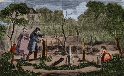 Zahradnictví: hlavní metody přesazování rostlin. 1860 rytina. od Unknown artist