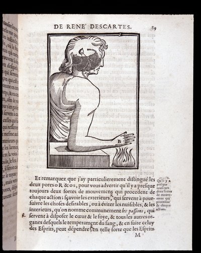 Lidský smyslový systém se propojuje s mozkem – v „Člověk René Descartes a formování plodu“, Paris od Unknown artist